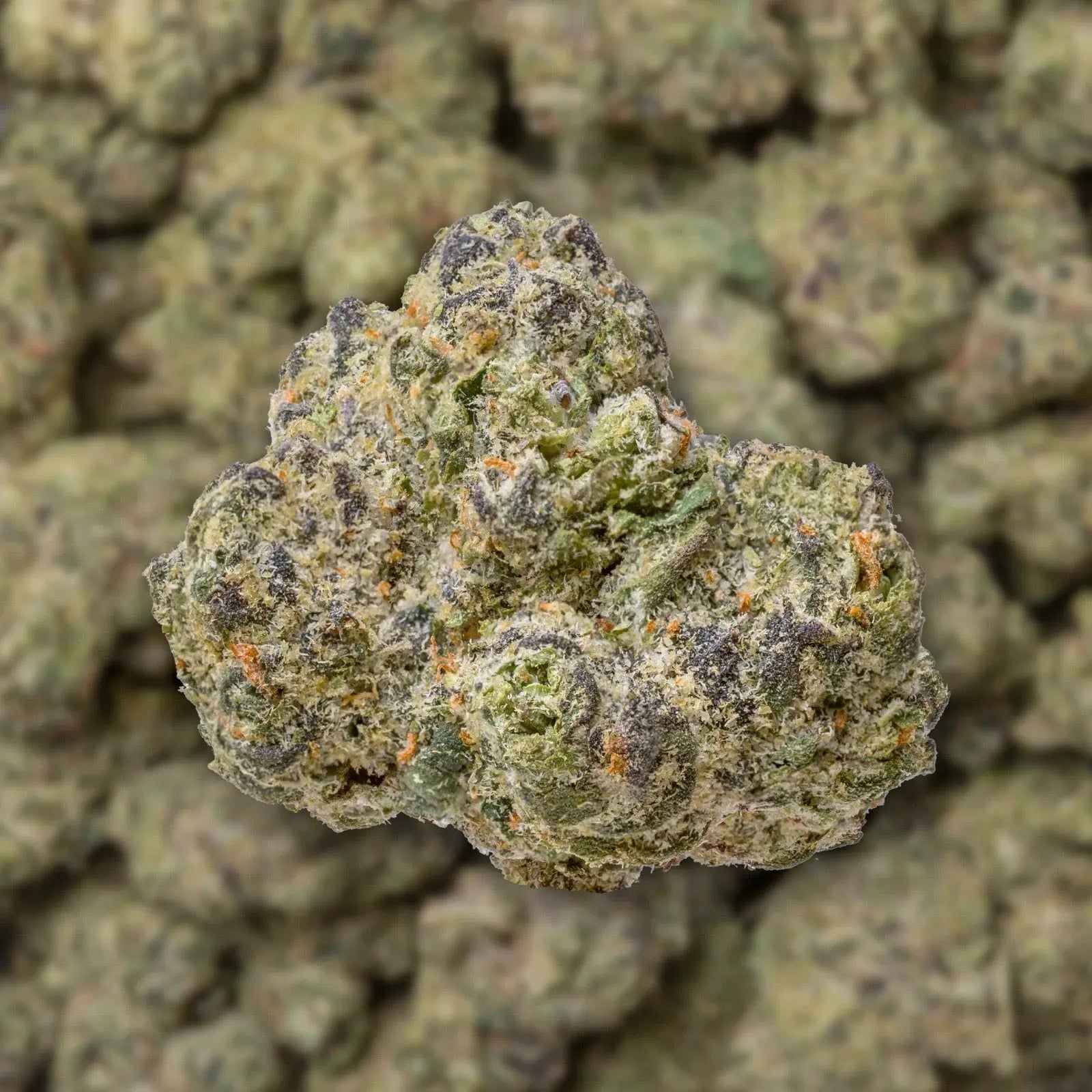 Blue Dream THC-A Flower supergreenshempco