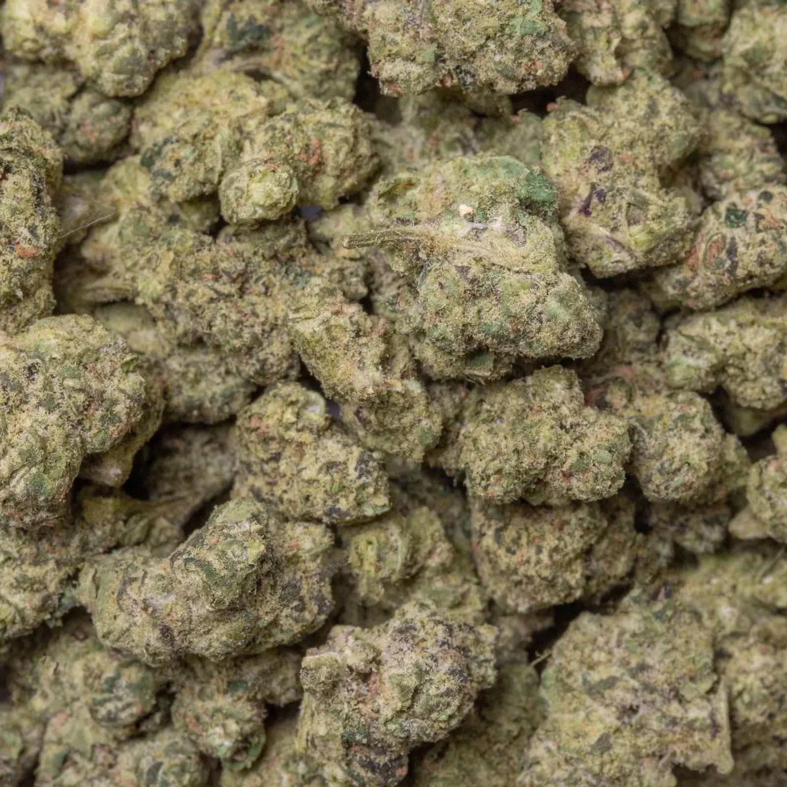 Blue Dream THC-A Flower supergreenshempco