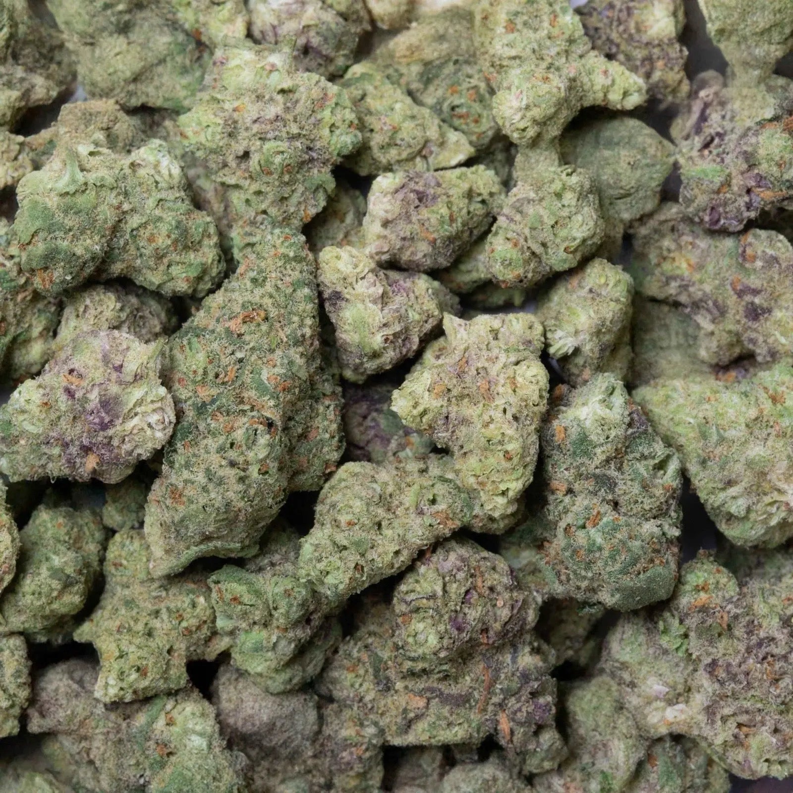 Apple Fritter THC-A Flower supergreenshempco