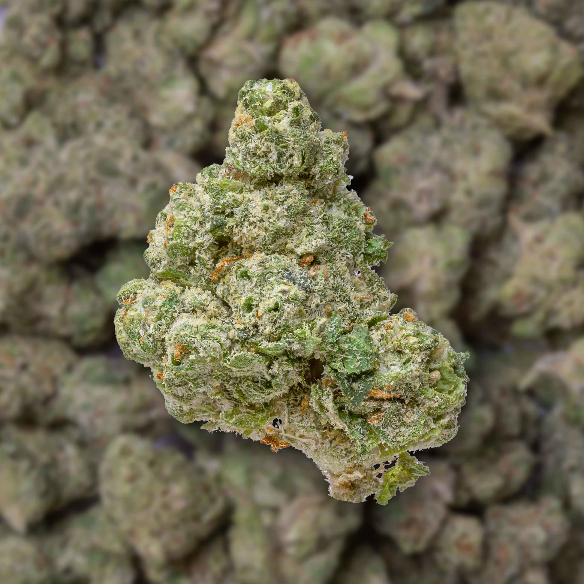 Zuper Candy THC-A Flower supergreenshempco