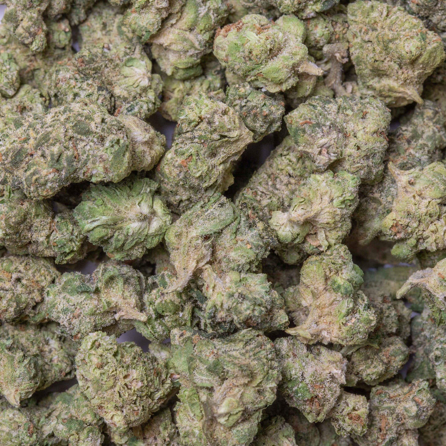 Zuper Candy THC-A Flower supergreenshempco