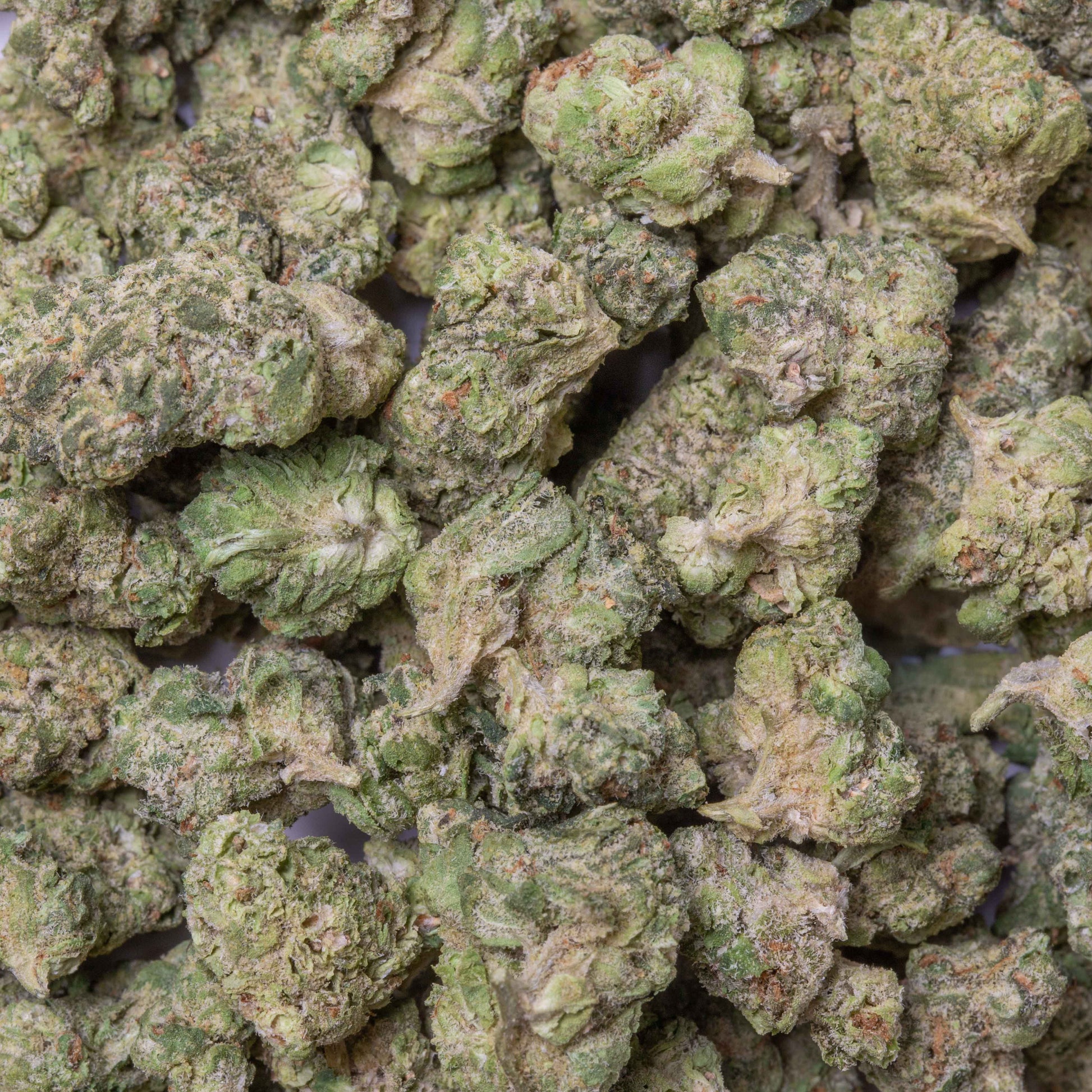 Zuper Candy THC-A Flower supergreenshempco