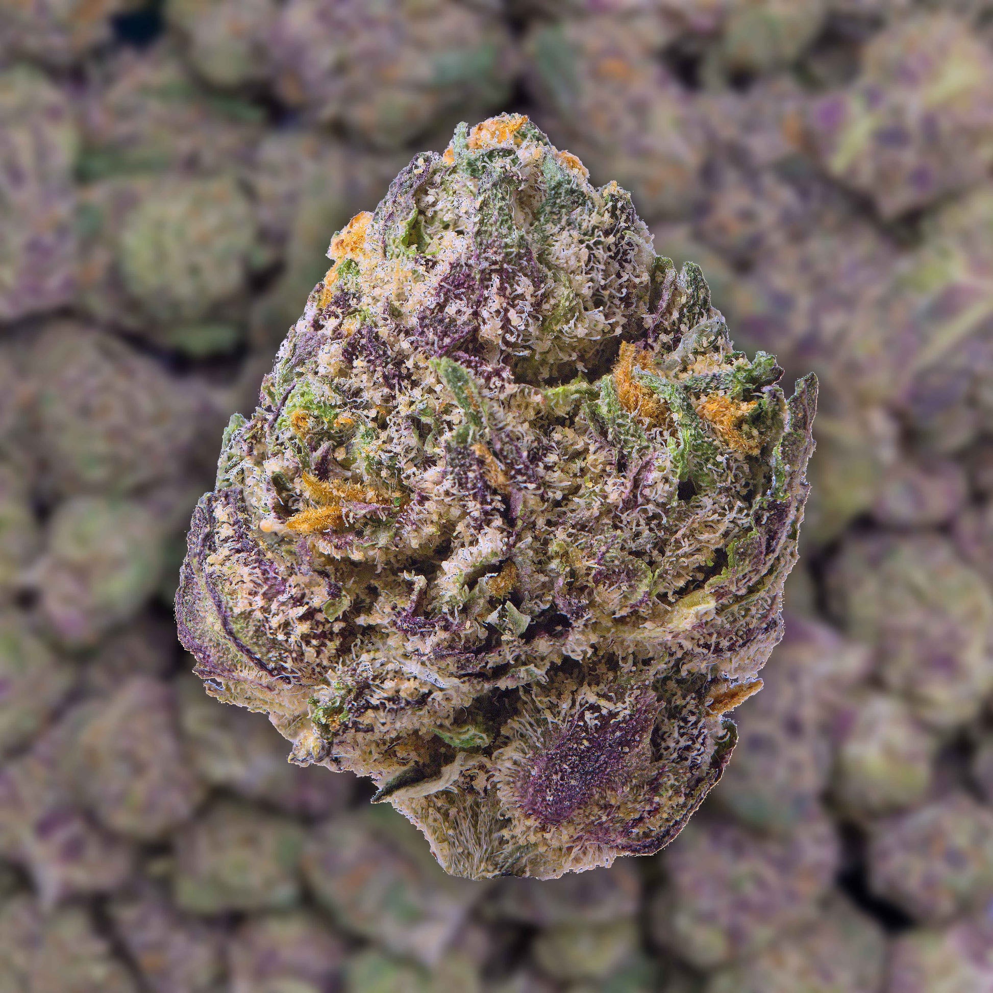 Grape Soda THC-A Flower supergreenshempco