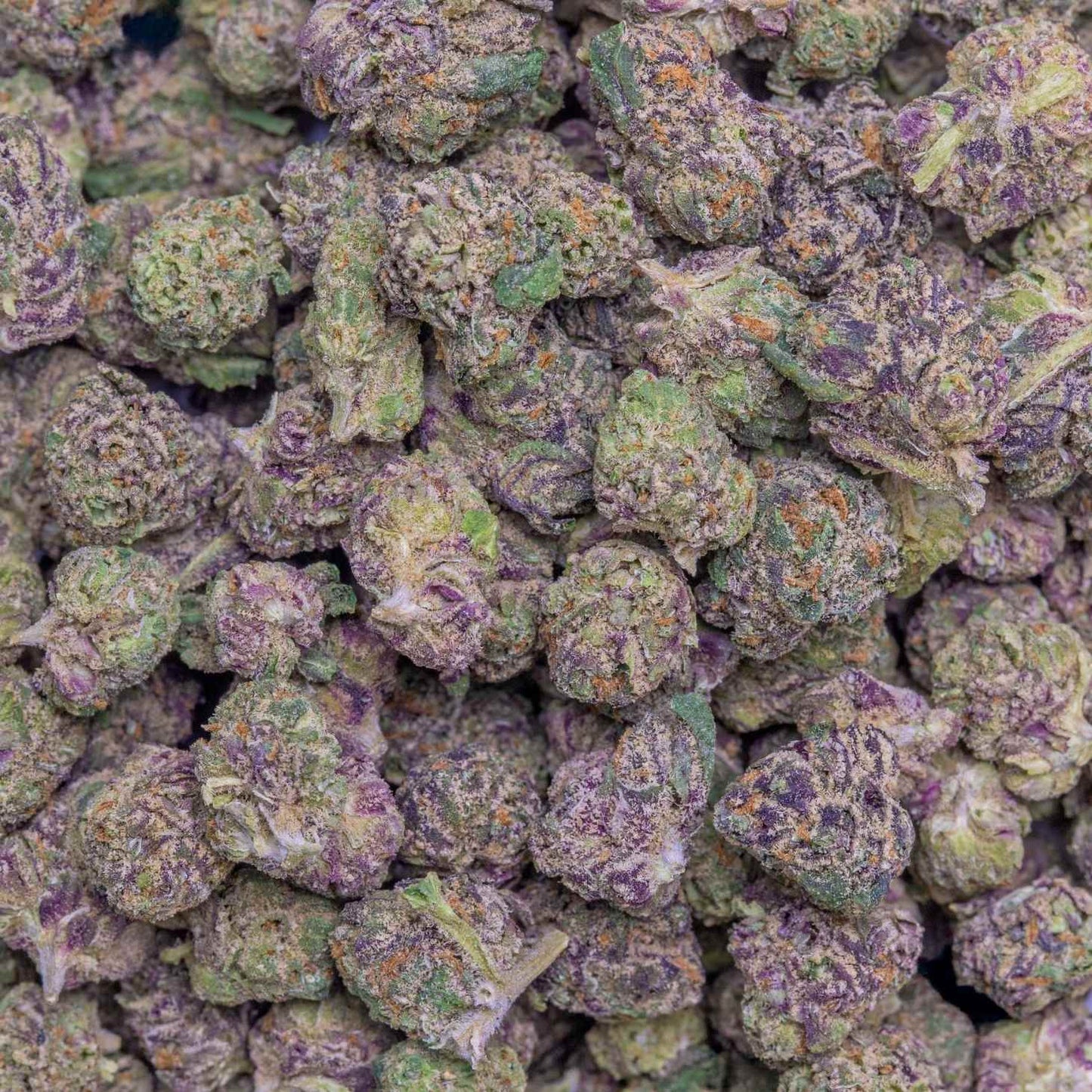 Grape Soda THC-A Flower supergreenshempco