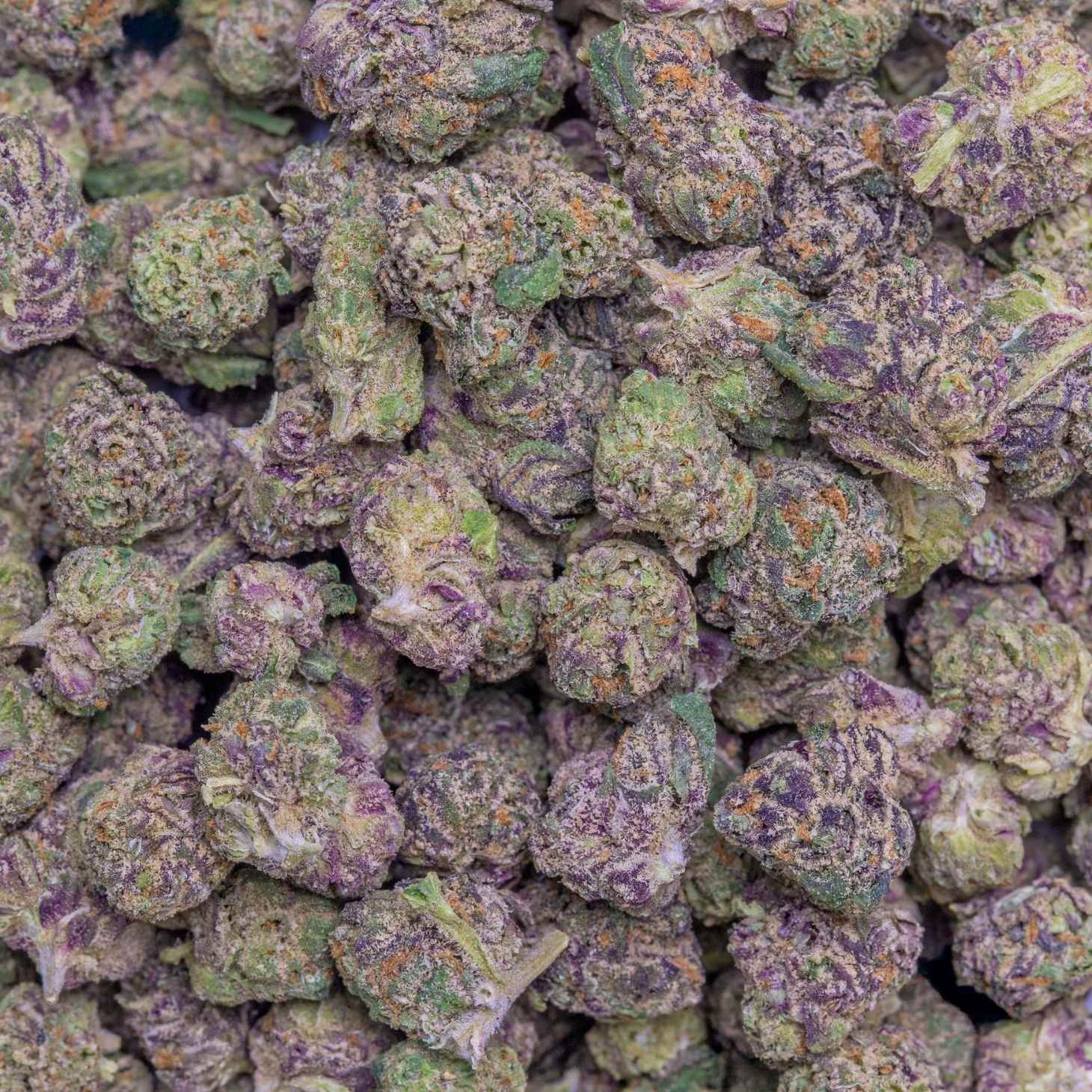 Grape Soda THC-A Flower supergreenshempco