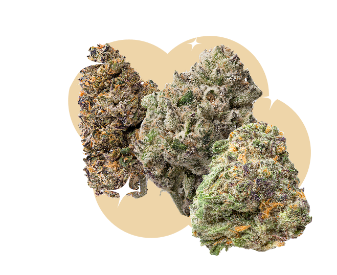 THCA Flower