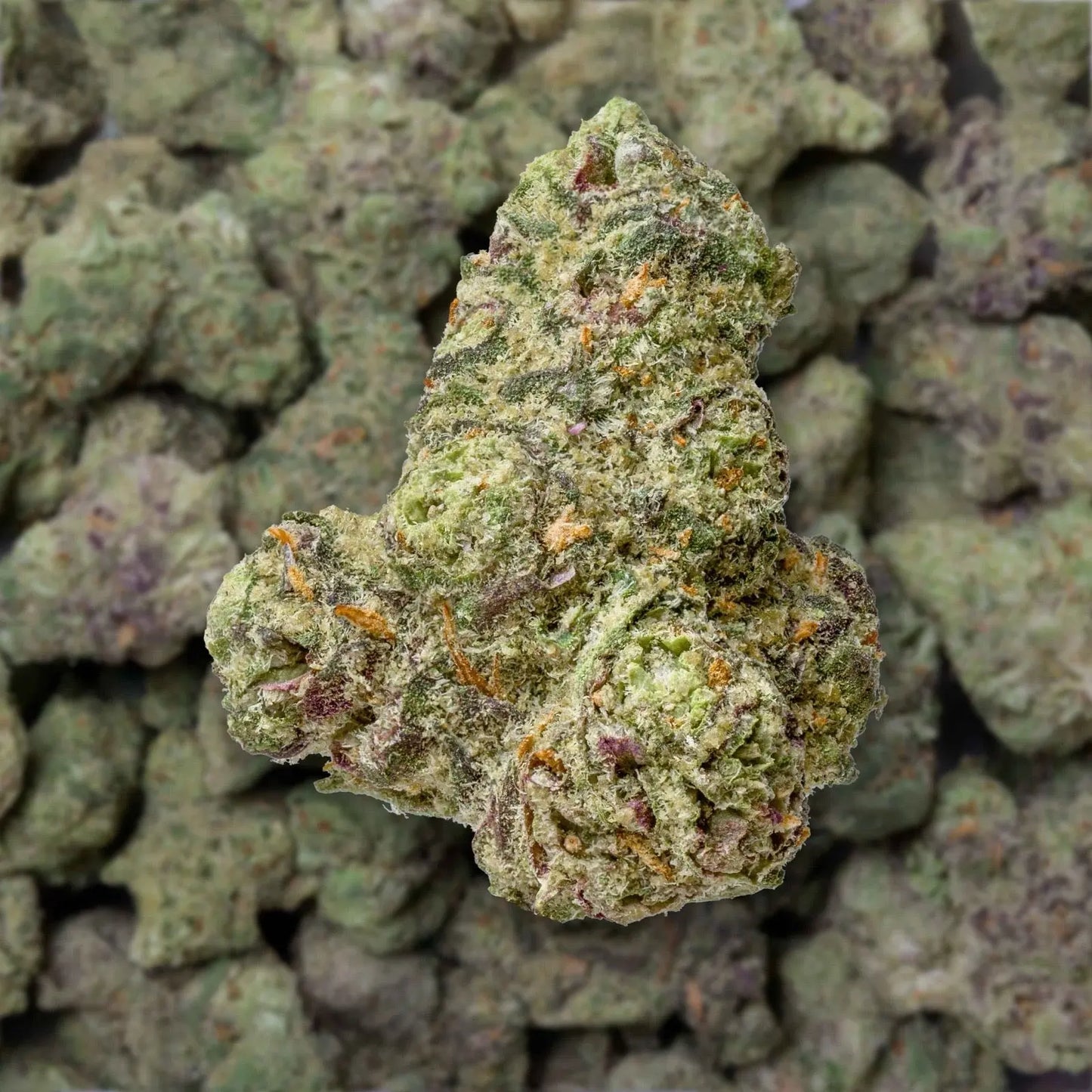 Apple Fritter THC-A Flower supergreenshempco